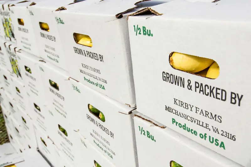 Reselling: how buying at wholesale actually works