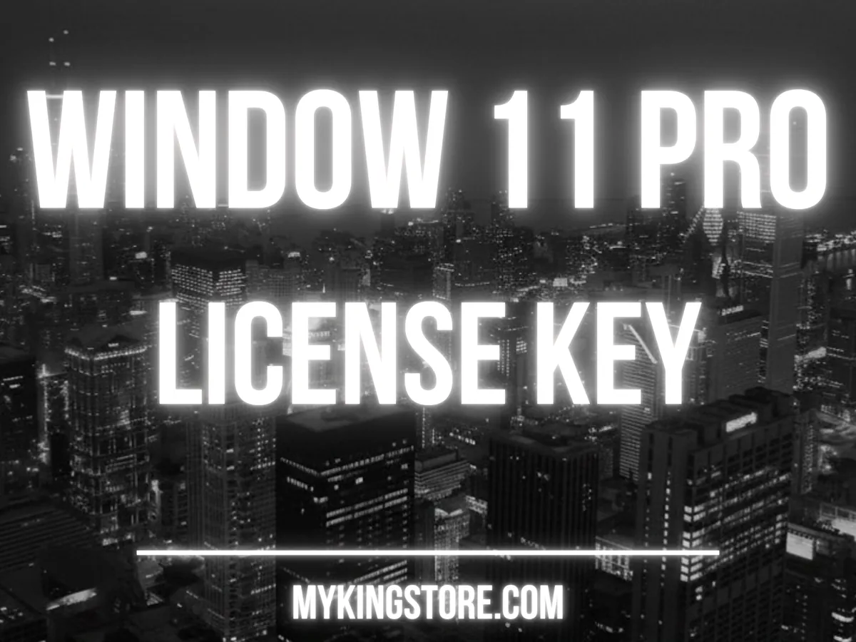 Windows 11 Professional